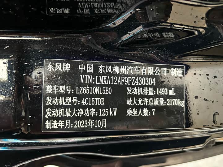 Фото 8 - Dongfeng Forthing Lingzhi M5