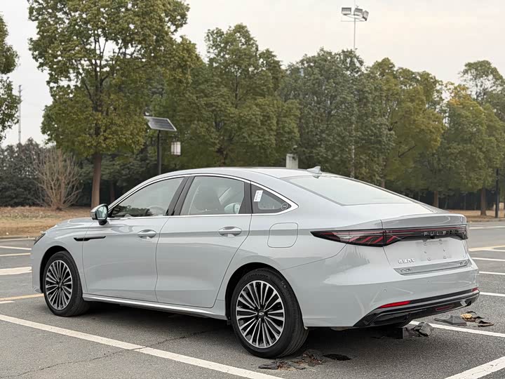 Фото 5 - Chery Fulwin A8L