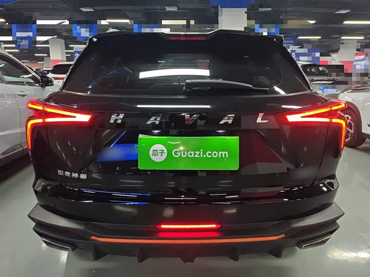 Фото 6 - Haval F7 (Monster)