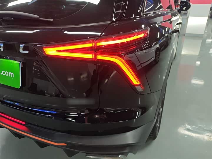 Фото 8 - Haval F7 (Monster)