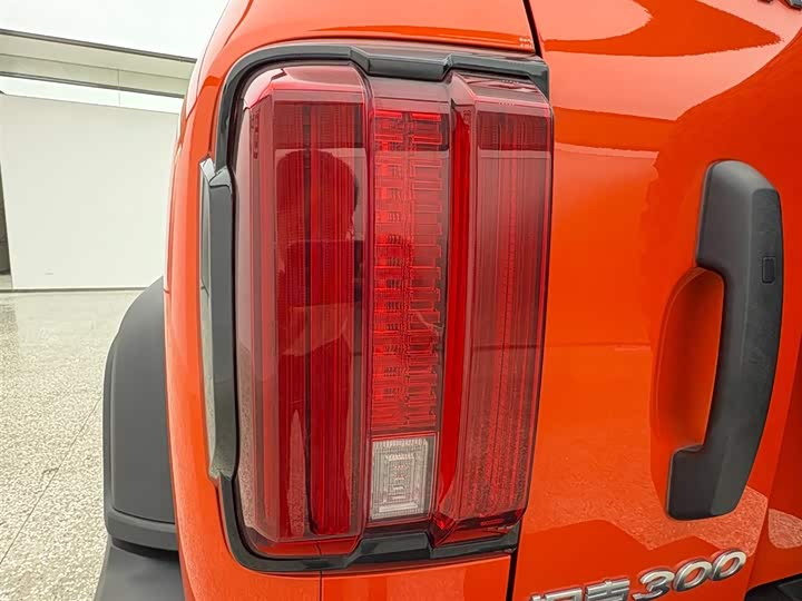 Фото 7 - Tank 300