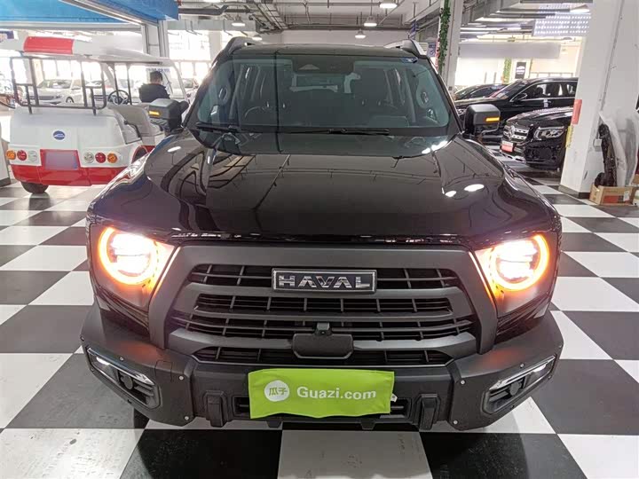 Фото 3 - Haval Dargo