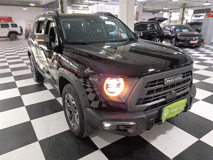 Фото 4 - Haval Dargo