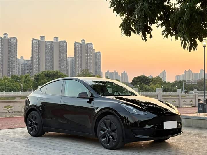 Фото 3 - Tesla Model Y