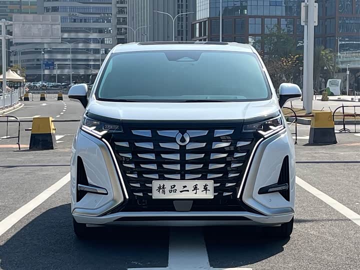 Фото 2 - Denza D9