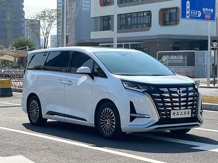 Фото 3 - Denza D9