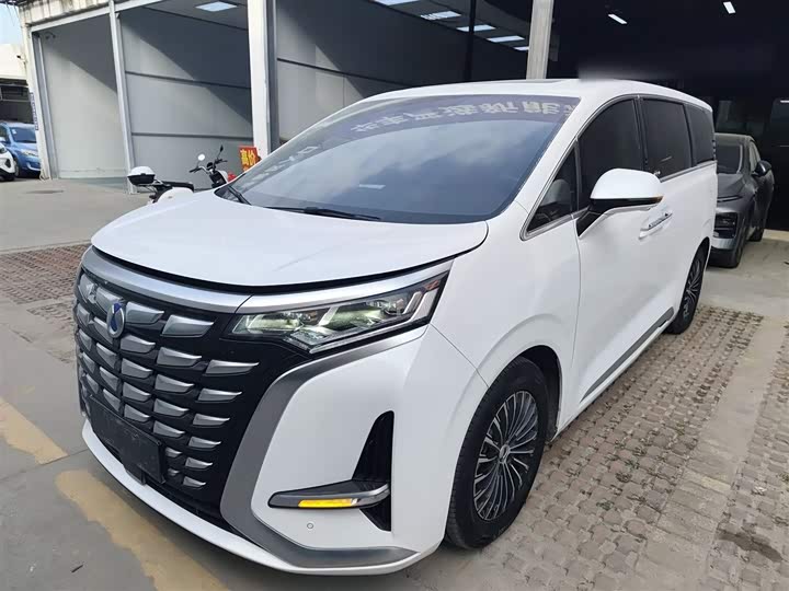 Фото 1 - Denza D9