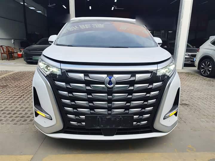 Фото 3 - Denza D9