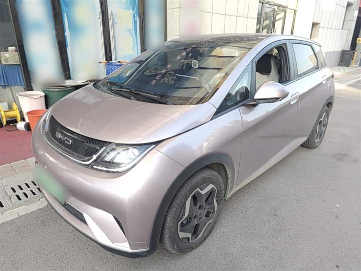 Фото 2 - BYD Dolphin