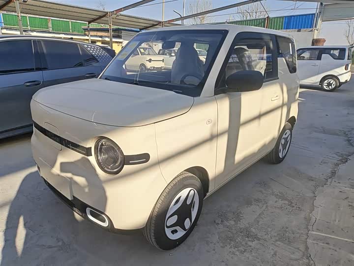 Фото 1 - Geely Galaxy Panda Mini