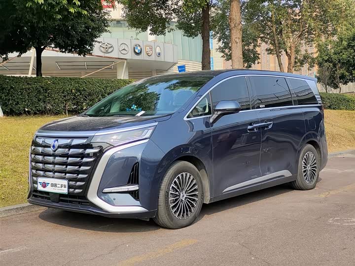 Фото 1 - Denza D9