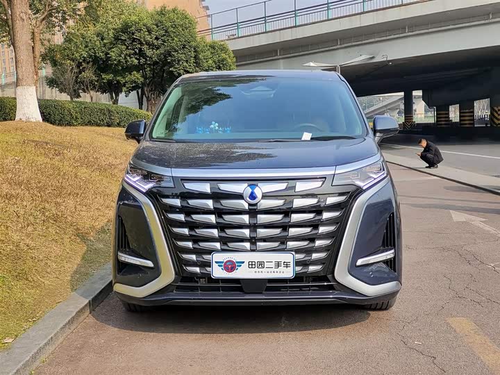 Фото 2 - Denza D9