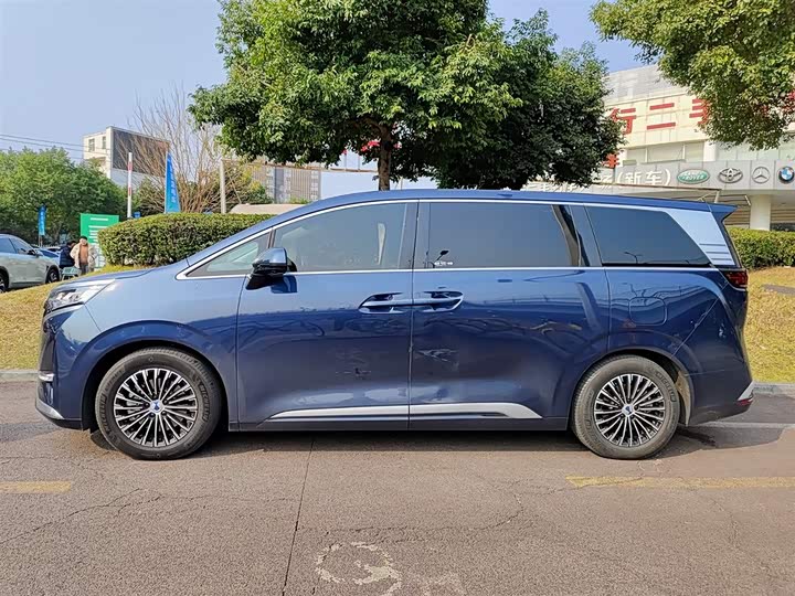 Фото 3 - Denza D9