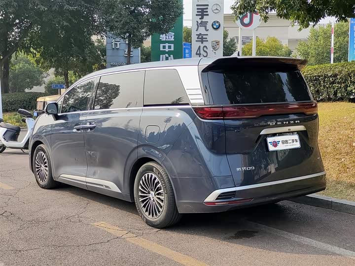 Фото 4 - Denza D9