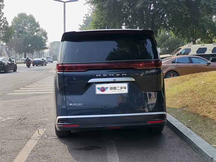 Фото 5 - Denza D9