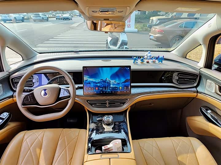 Фото 6 - Denza D9