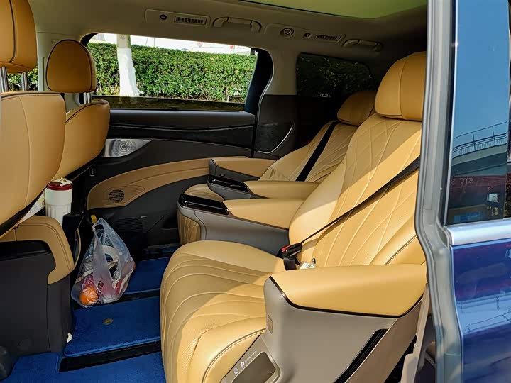 Фото 9 - Denza D9