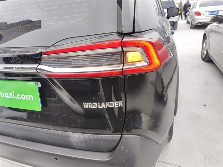 Фото 8 - Toyota Wildlander