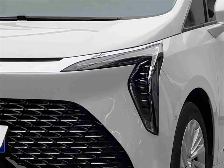 Фото 3 - Buick GL8 Century