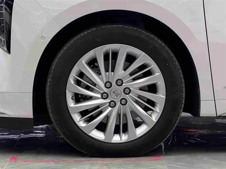 Фото 4 - Buick GL8 Century