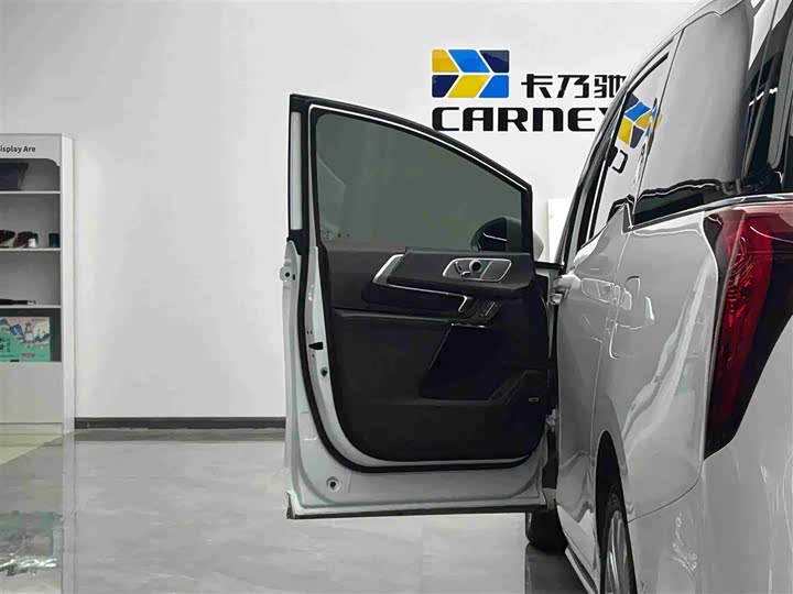 Фото 5 - Buick GL8 Century