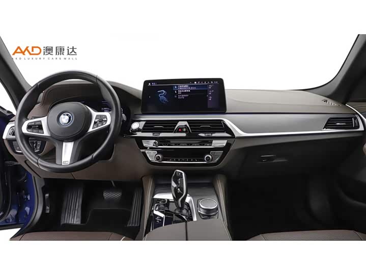 Фото 5 - BMW 5 Series Hybrid