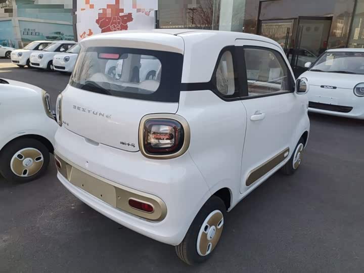 Фото 7 - Bestune Pony