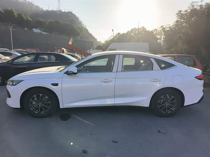 Фото 5 - BYD Qin L