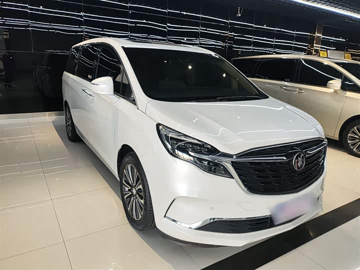 Фото 4 - Buick GL8 ES