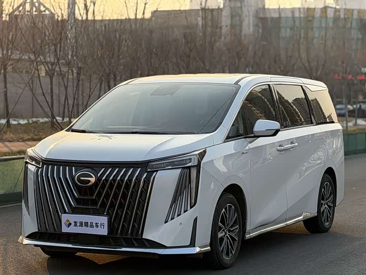 Фото 1 - GAC Trumpchi M8