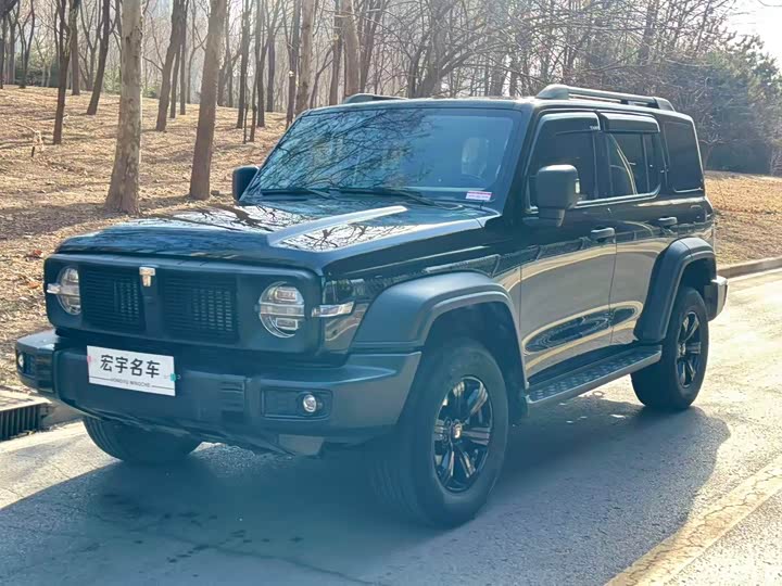 Фото 1 - Tank 300