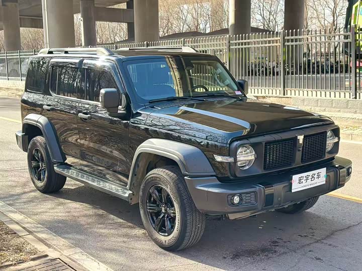 Фото 3 - Tank 300