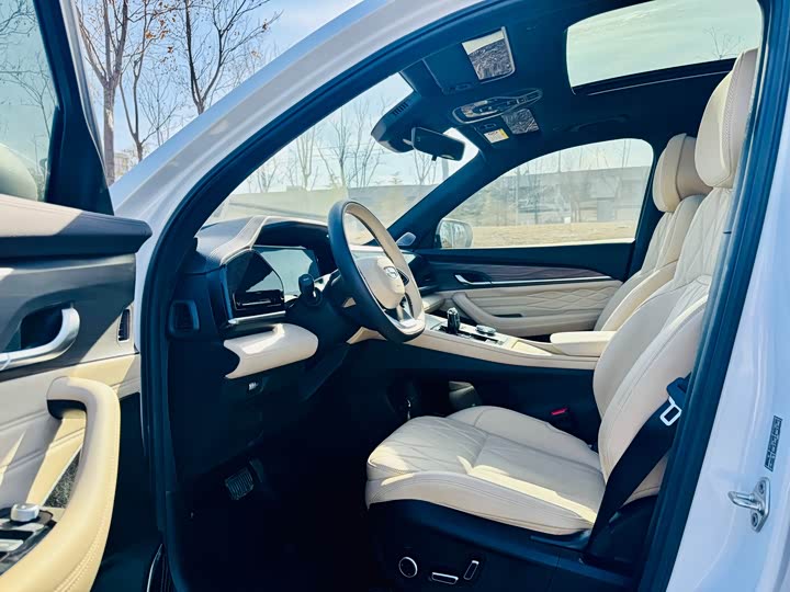 Фото 4 - Geely Monjaro