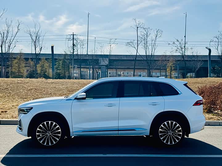 Фото 9 - Geely Monjaro