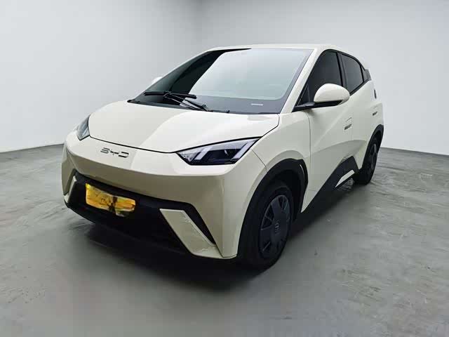 Фото 1 - BYD Seagull