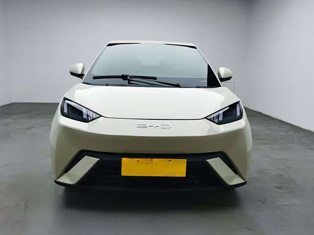 Фото 2 - BYD Seagull