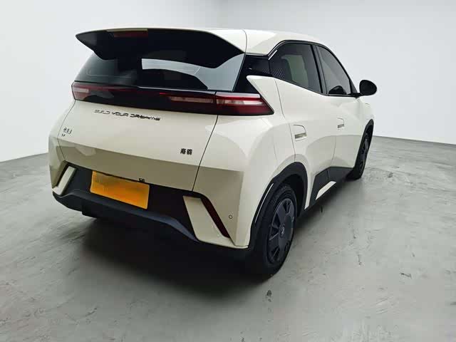 Фото 4 - BYD Seagull