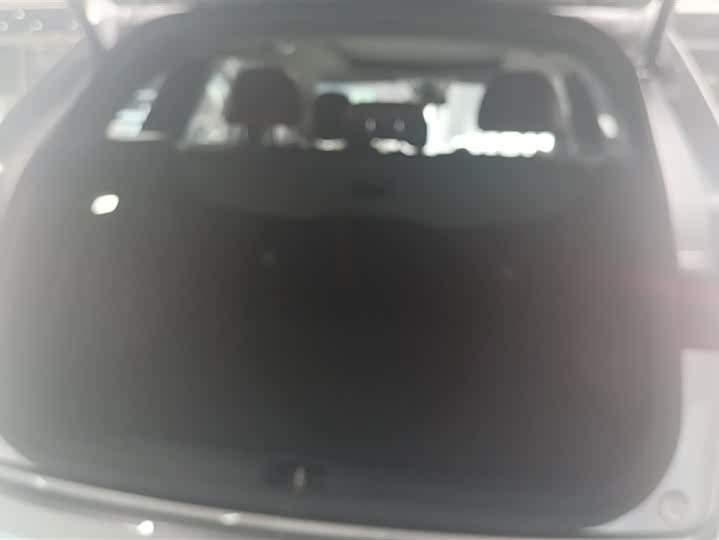 Фото 4 - Geely Monjaro