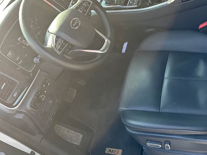 Фото 3 - GAC Trumpchi M8