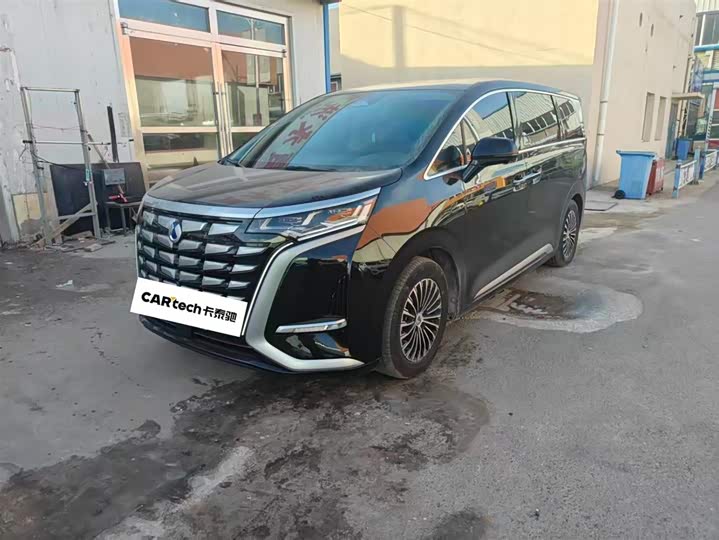 Фото 1 - Denza D9