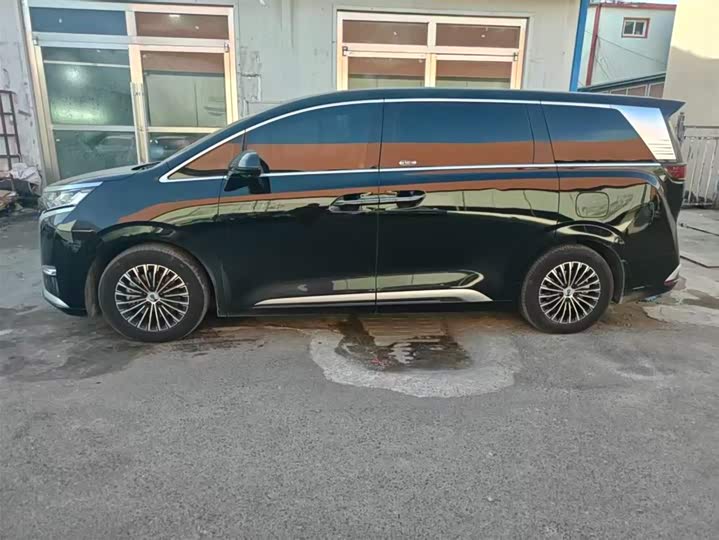 Фото 6 - Denza D9