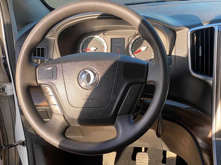 Фото 7 - Dongfeng Forthing Lingzhi Plus