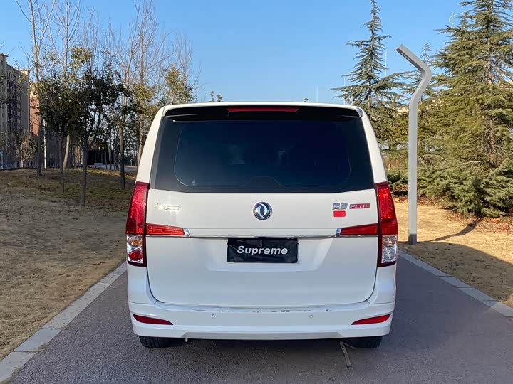 Фото 9 - Dongfeng Forthing Lingzhi Plus