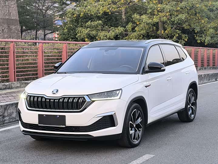 Фото 1 - Skoda Kamiq