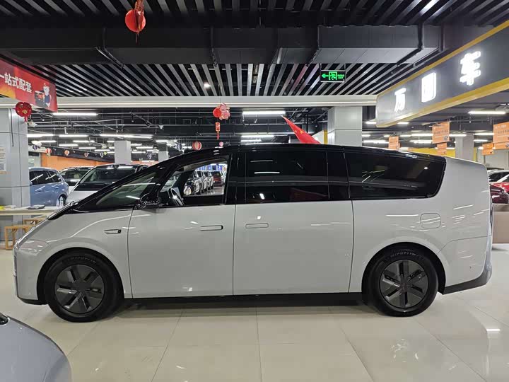 Фото 3 - LiXiang Mega