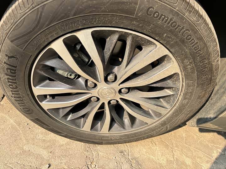 Фото 2 - Buick GL8 ES