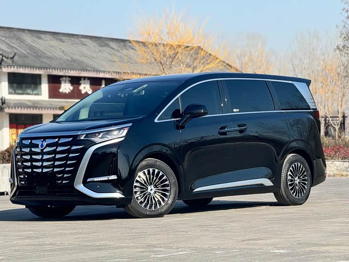 Фото 1 - Denza D9