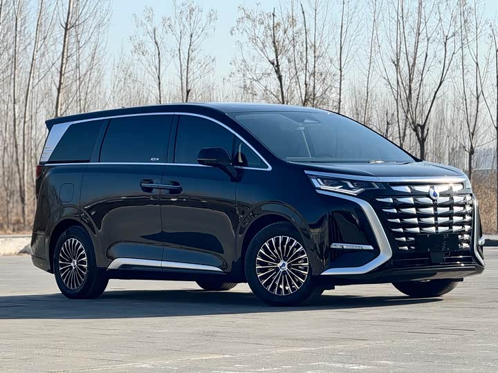 Фото 2 - Denza D9