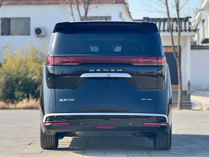 Фото 6 - Denza D9