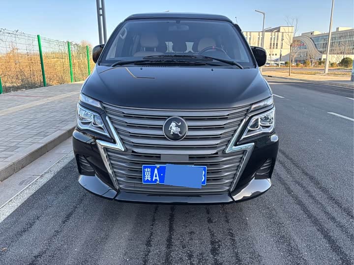 Фото 2 - Dongfeng Forthing Lingzhi M5